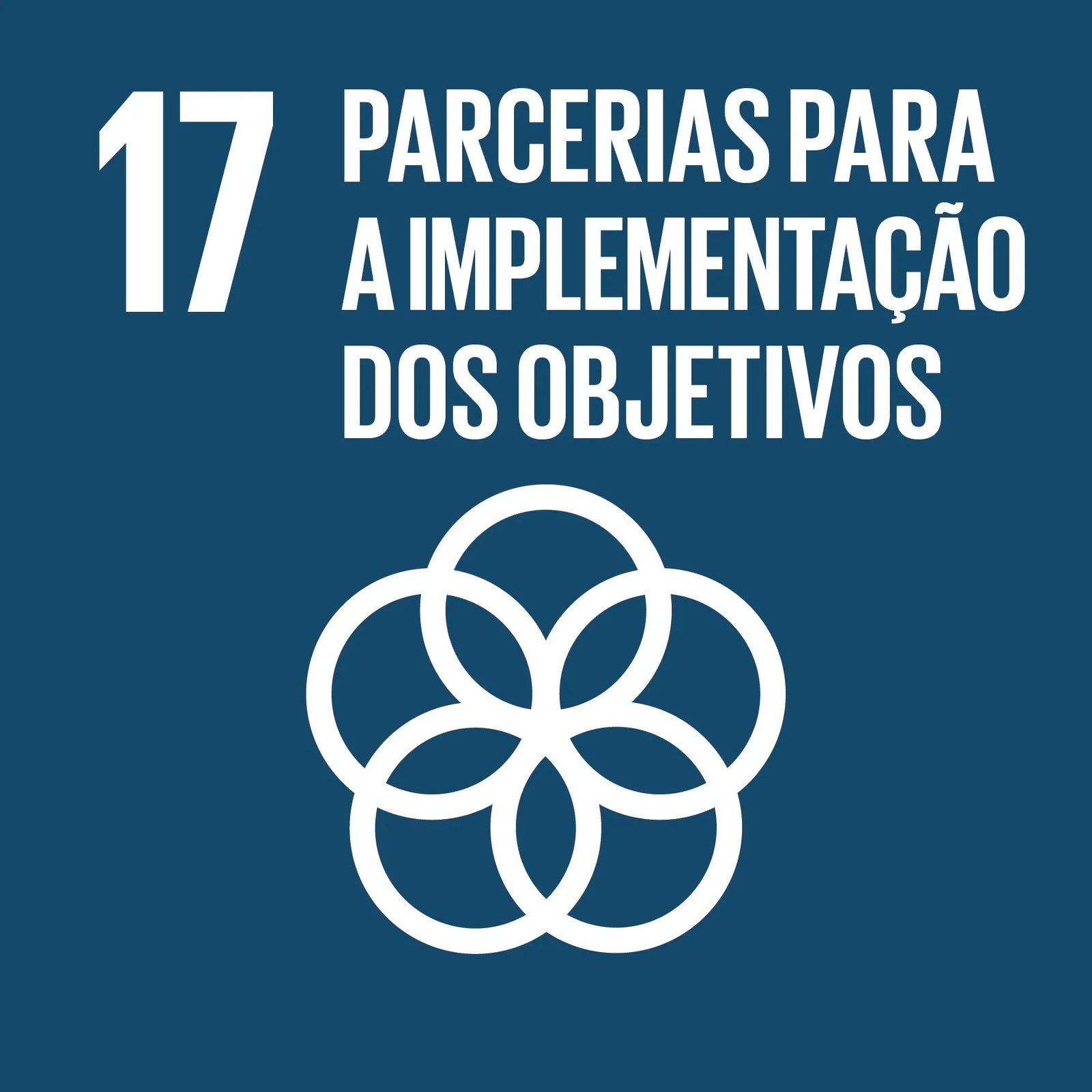 ODS 17 — Parcerias e Meios de Implementação